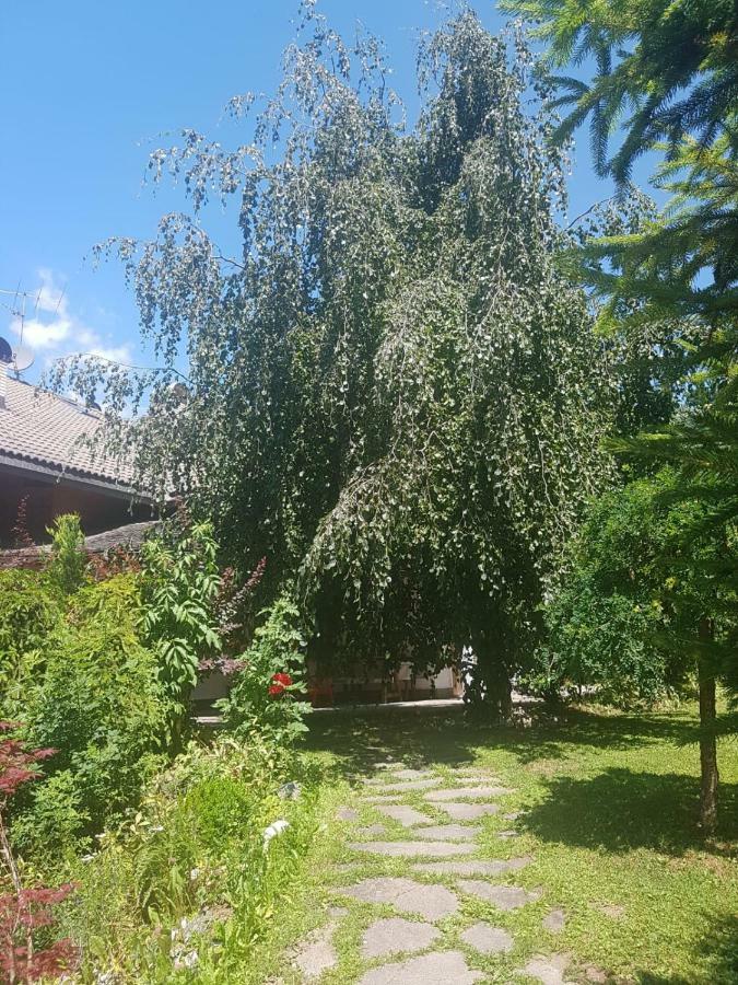 Pelegrin 15 Daire San Vigilio Di Marebbe Dış mekan fotoğraf